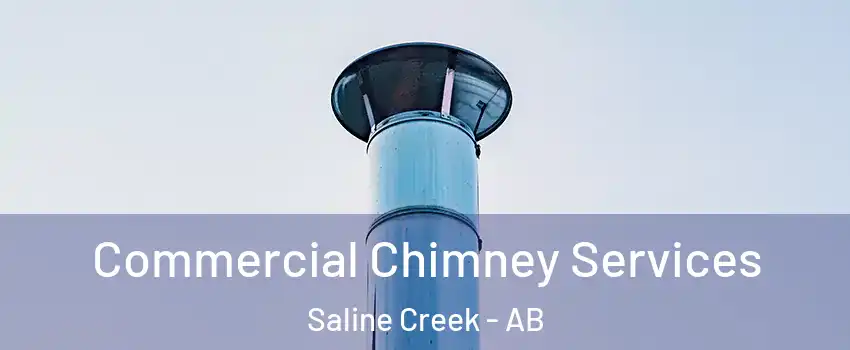  Commercial Chimney Services Saline Creek - AB