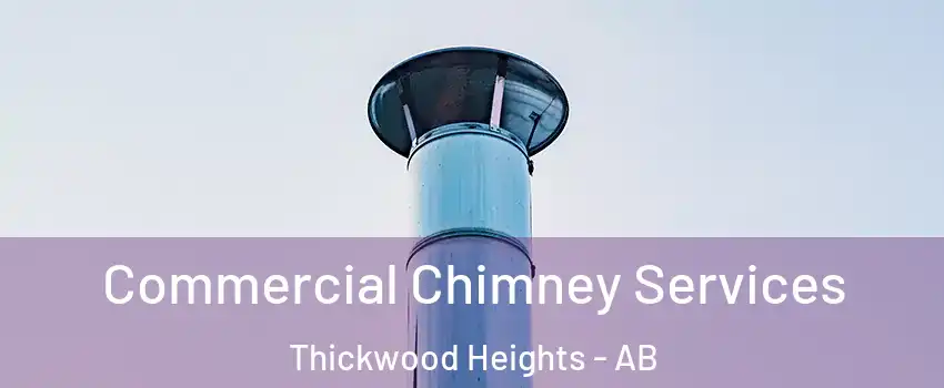  Commercial Chimney Services Thickwood Heights - AB
