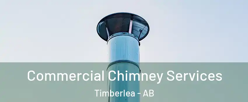  Commercial Chimney Services Timberlea - AB
