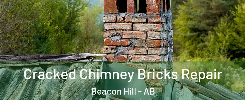  Cracked Chimney Bricks Repair Beacon Hill - AB