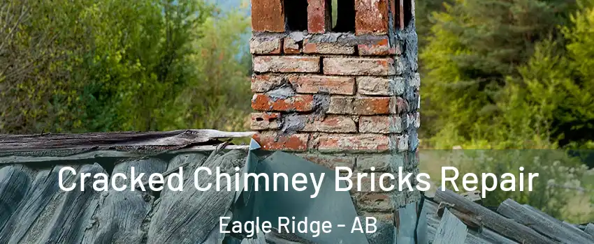  Cracked Chimney Bricks Repair Eagle Ridge - AB