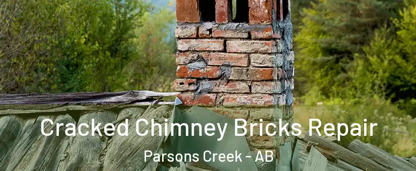  Cracked Chimney Bricks Repair Parsons Creek - AB