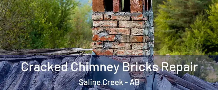  Cracked Chimney Bricks Repair Saline Creek - AB