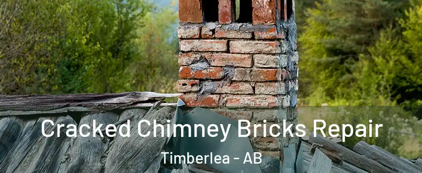  Cracked Chimney Bricks Repair Timberlea - AB
