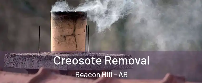  Creosote Removal Beacon Hill - AB