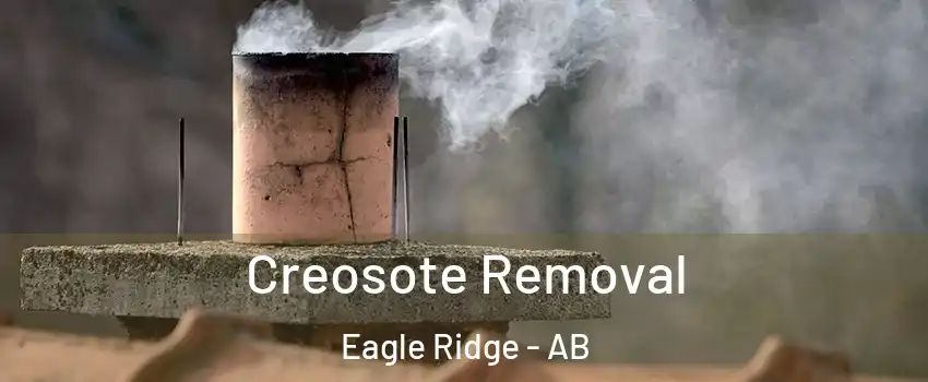  Creosote Removal Eagle Ridge - AB