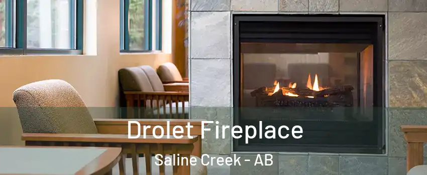  Drolet Fireplace Saline Creek - AB