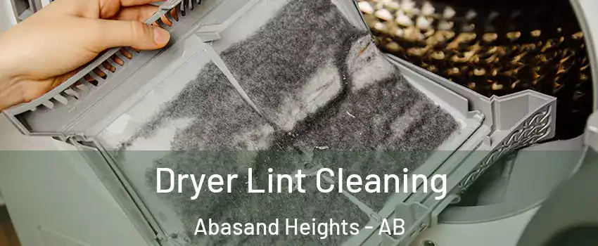  Dryer Lint Cleaning Abasand Heights - AB