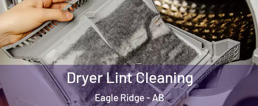  Dryer Lint Cleaning Eagle Ridge - AB