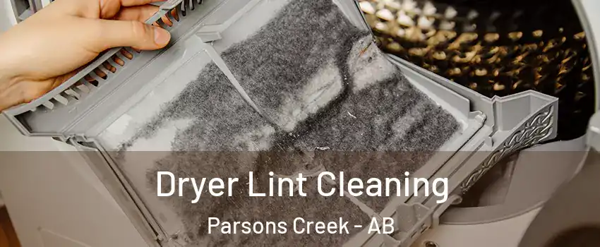  Dryer Lint Cleaning Parsons Creek - AB