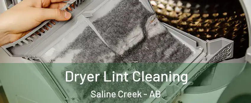  Dryer Lint Cleaning Saline Creek - AB