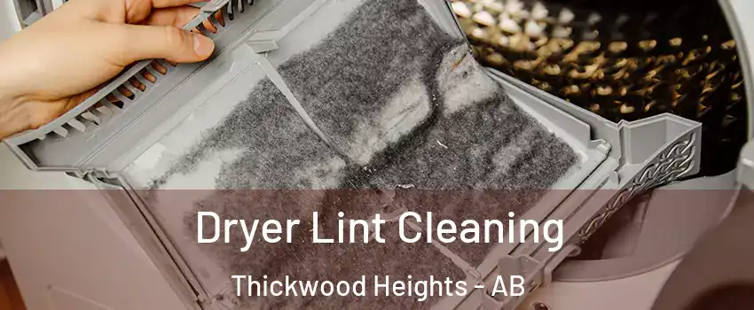  Dryer Lint Cleaning Thickwood Heights - AB