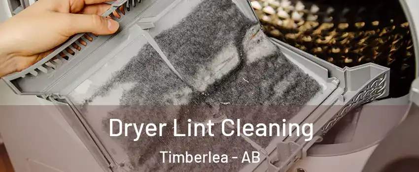 Dryer Lint Cleaning Timberlea - AB