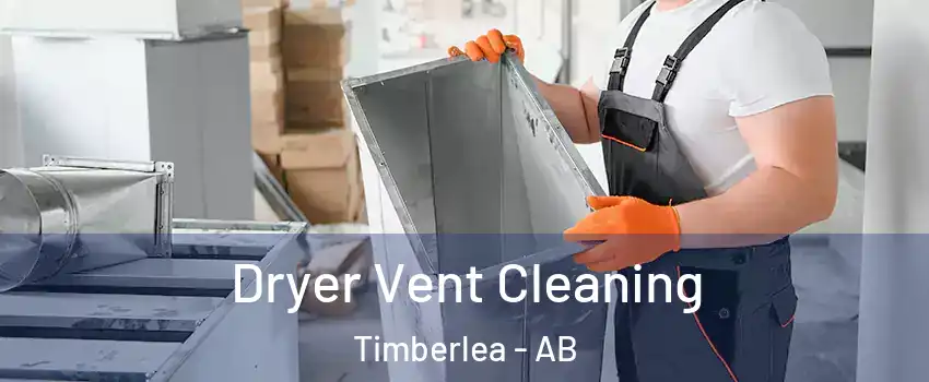  Dryer Vent Cleaning Timberlea - AB