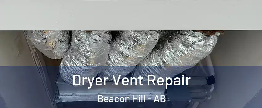 Dryer Vent Repair Beacon Hill - AB
