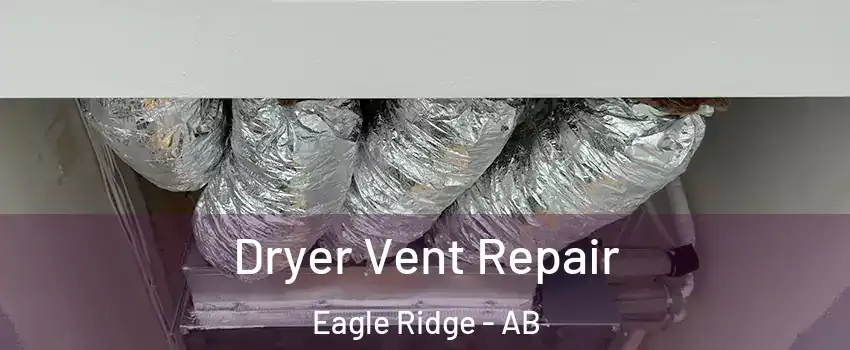  Dryer Vent Repair Eagle Ridge - AB