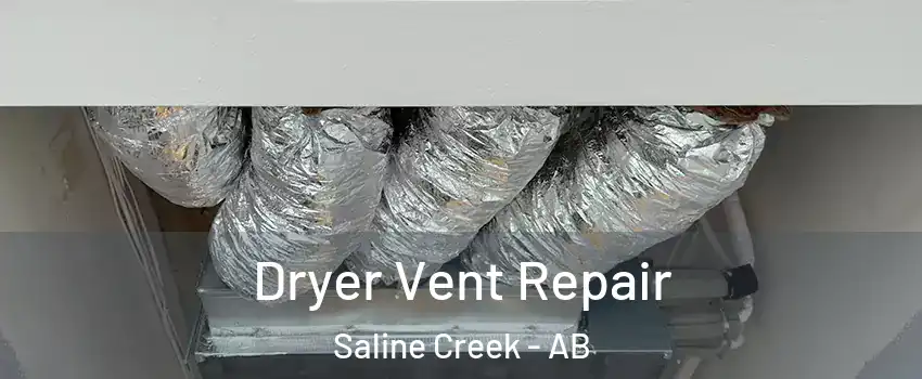  Dryer Vent Repair Saline Creek - AB