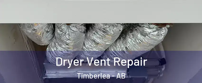  Dryer Vent Repair Timberlea - AB
