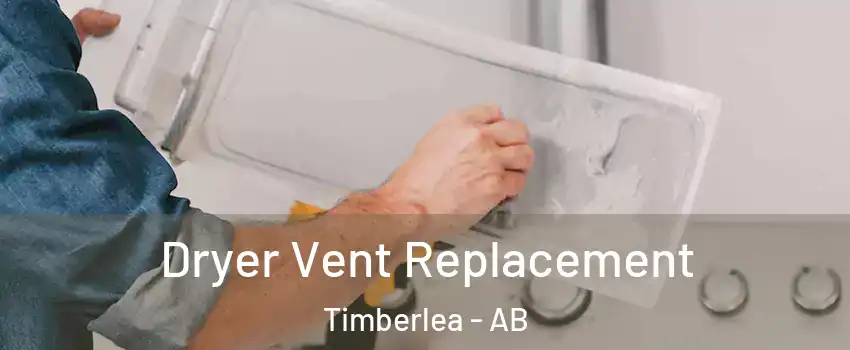 Dryer Vent Replacement Timberlea - AB