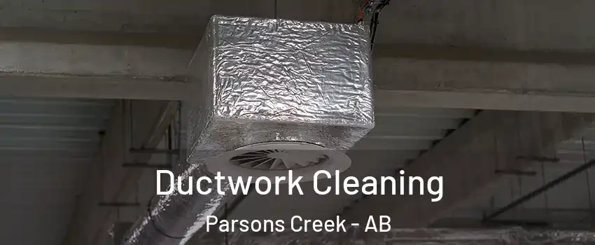  Ductwork Cleaning Parsons Creek - AB