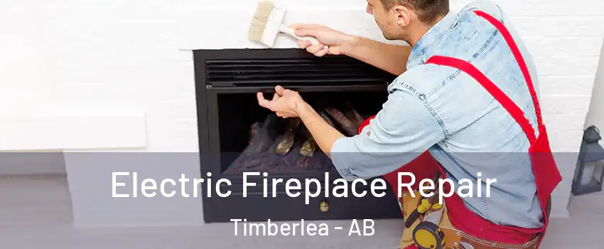  Electric Fireplace Repair Timberlea - AB