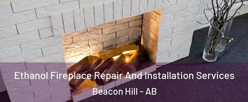  Ethanol Fireplace Repair And Installation Services Beacon Hill - AB
