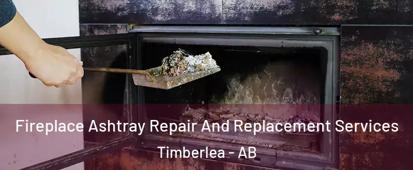  Fireplace Ashtray Repair And Replacement Services Timberlea - AB
