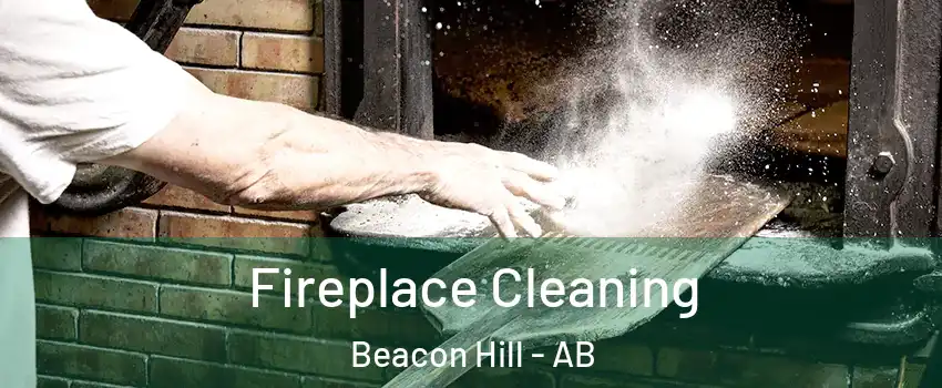  Fireplace Cleaning Beacon Hill - AB