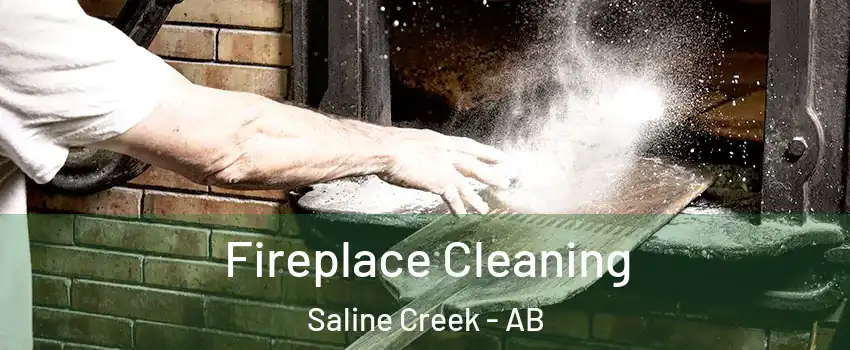  Fireplace Cleaning Saline Creek - AB