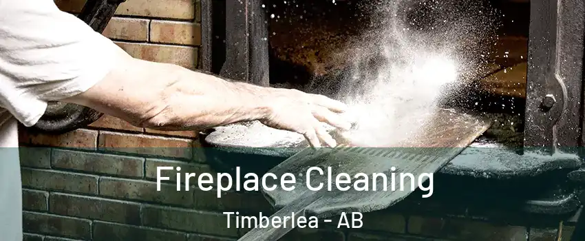  Fireplace Cleaning Timberlea - AB