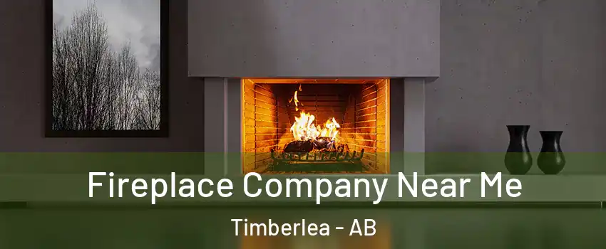  Fireplace Company Near Me Timberlea - AB