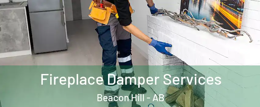  Fireplace Damper Services Beacon Hill - AB
