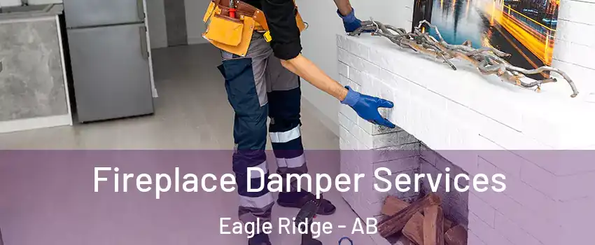  Fireplace Damper Services Eagle Ridge - AB