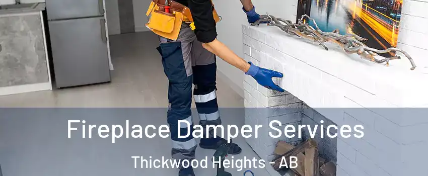  Fireplace Damper Services Thickwood Heights - AB