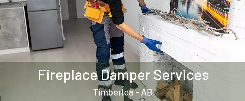  Fireplace Damper Services Timberlea - AB