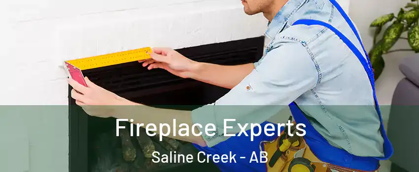  Fireplace Experts Saline Creek - AB