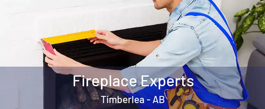  Fireplace Experts Timberlea - AB