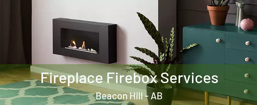  Fireplace Firebox Services Beacon Hill - AB