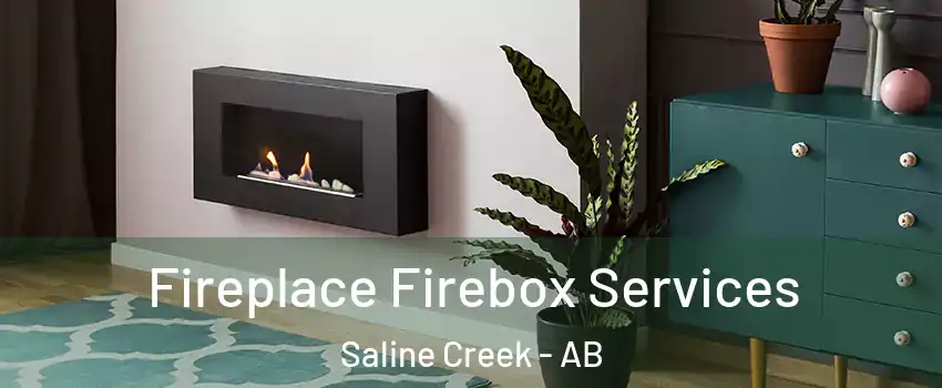  Fireplace Firebox Services Saline Creek - AB