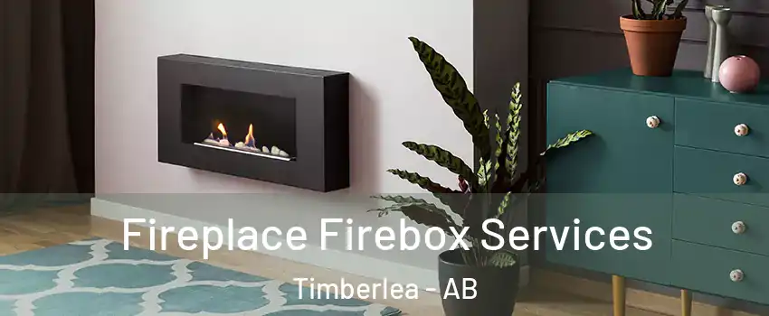  Fireplace Firebox Services Timberlea - AB