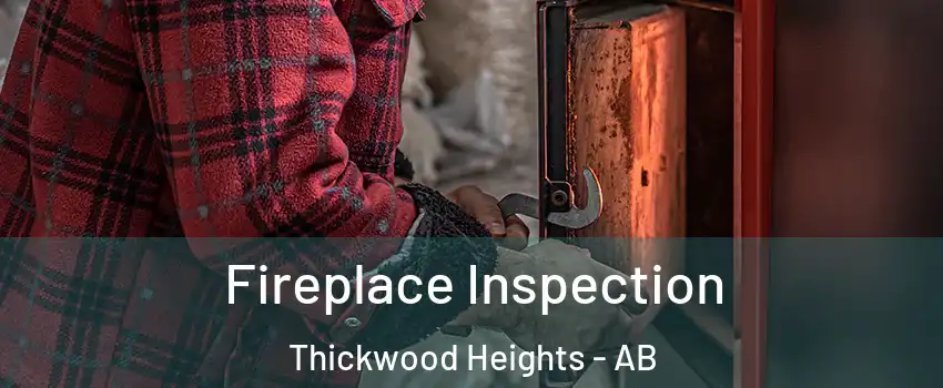  Fireplace Inspection Thickwood Heights - AB