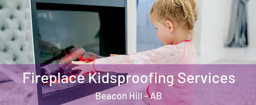  Fireplace Kidsproofing Services Beacon Hill - AB