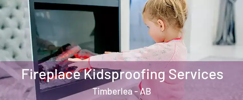  Fireplace Kidsproofing Services Timberlea - AB
