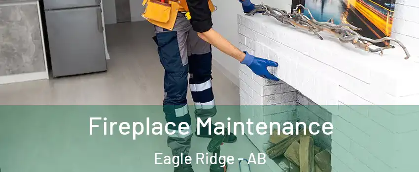  Fireplace Maintenance Eagle Ridge - AB