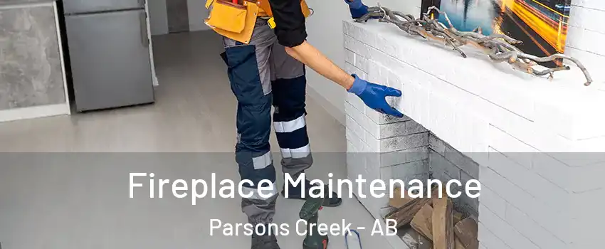  Fireplace Maintenance Parsons Creek - AB