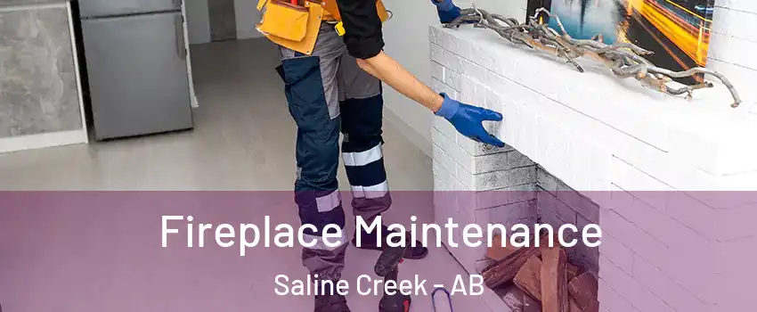  Fireplace Maintenance Saline Creek - AB