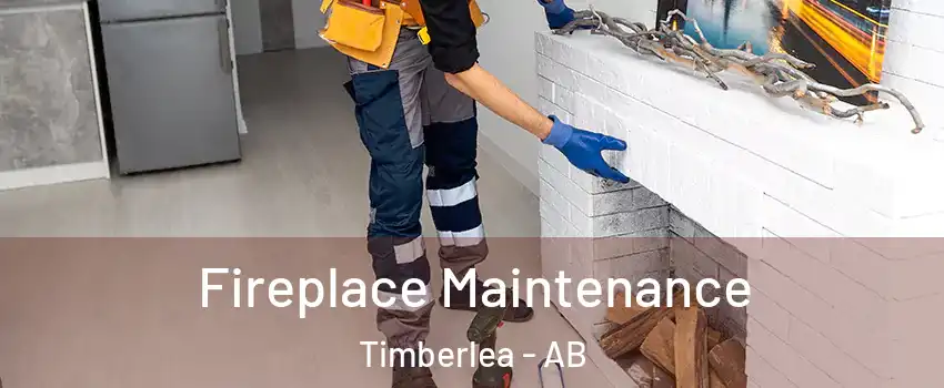  Fireplace Maintenance Timberlea - AB