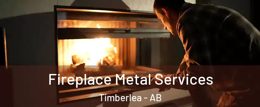  Fireplace Metal Services Timberlea - AB