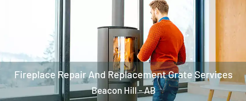  Fireplace Repair And Replacement Grate Services Beacon Hill - AB