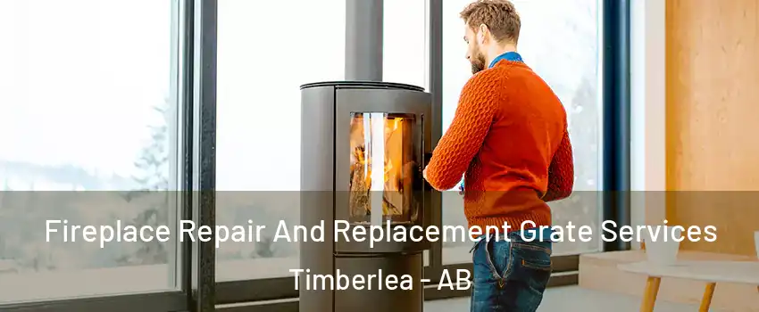 Fireplace Repair And Replacement Grate Services Timberlea - AB